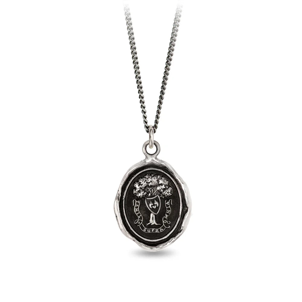 women's necklaces trendy mixed metal -Pyrrha Sterling Silver "Family above All" Talisman Pendant 18" Necklace