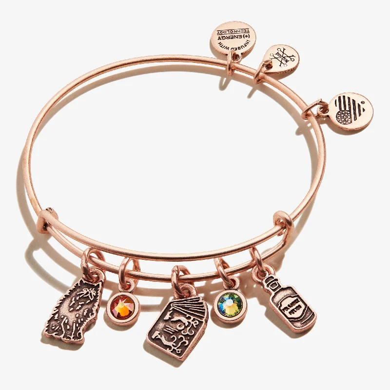 women's bracelets casual everyday wear -Harry Potter™ Hermione Multi-Charm Bangle