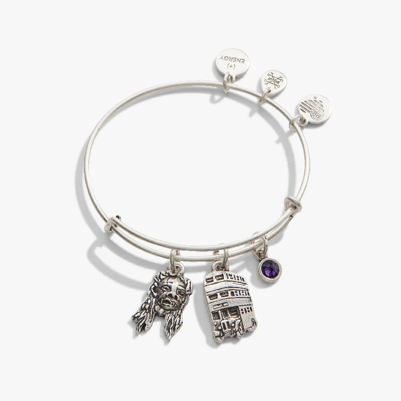 women's bracelets delicate and elegant -Harry Potter™ Knight Bus Trio Charm Bangle