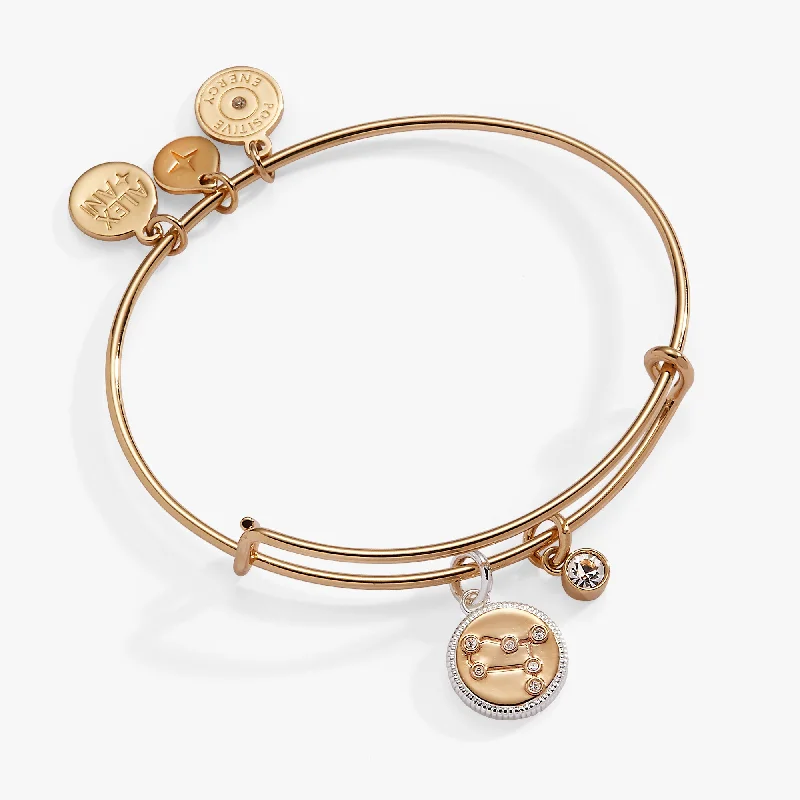 women's bracelets subtle sophistication -Gemini Zodiac Charm Bangle