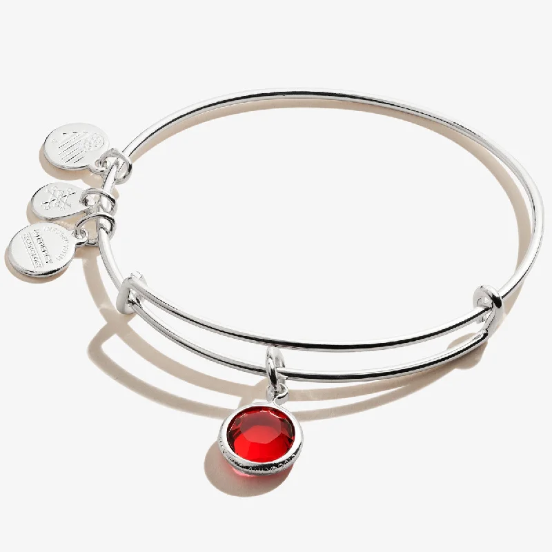 women's bracelets wedding jewelry -January Scarlet Birthstone Charm Bangle