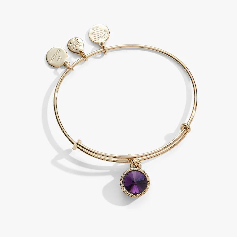 women's bracelets luxury gold chain bracelet -February Birthstone Charm Bangle, Amethyst