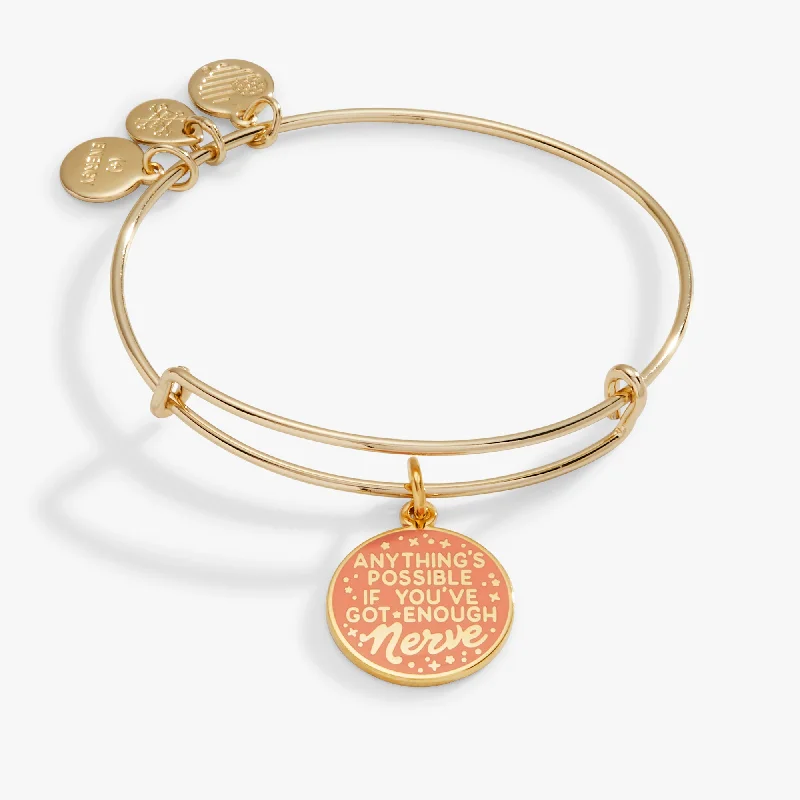 women's bracelets bar design -Harry Potter™ Ginny 'Anything's Possible If You've Got Enough Nerve' Charm Bangle