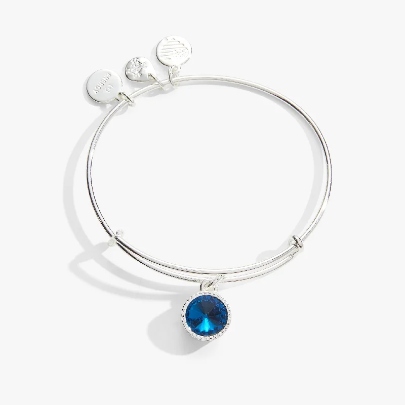 women's bracelets nature inspired -December Birthstone Charm Bangle, Blue Zircon