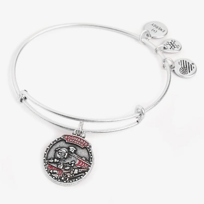 women's bracelets crystal-studded bangle -Harry Potter™ 'Hogwarts Express'™ Charm Bangle